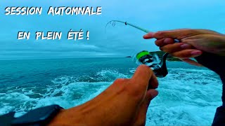 Été automne été automne été… peu importe, je suis à la pêche et les poissons sont là !! 🔥🌊🐟😍