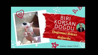 Köpeğimiz 9 doğurdu.))) Arjantino Dogomuzun 9 yavrusu oldu.