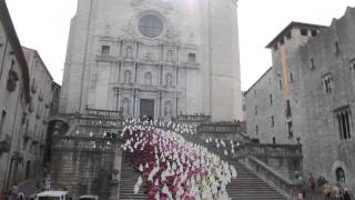 Temps de Flors a Girona 2014