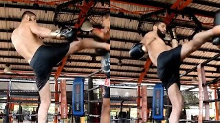 Khamzat Chimaev muay thai pad work at Tiger Muay Thai