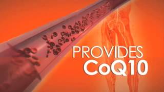 Forever CardioHealth with CoQ10 supports good cardiovascular function