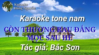 Karaoke tone nam CÒN THƯƠNG RAU ĐẮNG MỌC SAU HÈ - Tác giả: Bắc Sơn