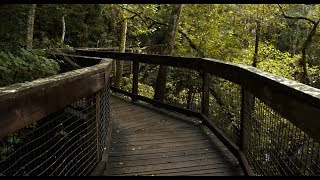 Hillsborough River