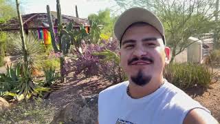 [VLOG] Desert Botanical Garden | Phoenix, Arizona | Calm Walking Tour