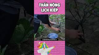 Thần nông lịch kiếp