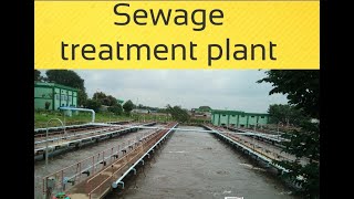 sewage treatment plant (STP)