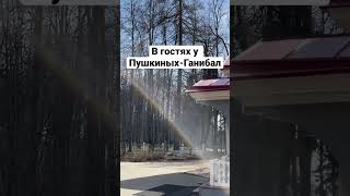 #одинцово #путешествия #россия #shortvideo #shorts #short #holiday