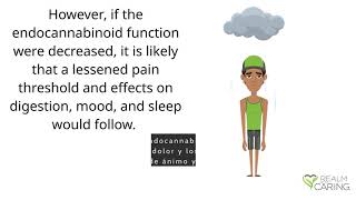 Deficiencia del sistema endocannabinoide (SEC)