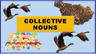 Collective Nouns