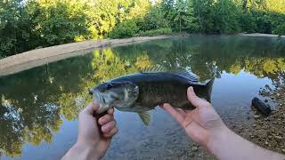 My new favorite creek to fish!