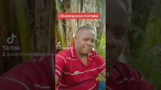 Sseviiri Omutabaazi w'ensi - okwelogozza mumaka