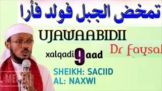 Ujawaabidii Dr Faysal 9 alfawaa'id Channel