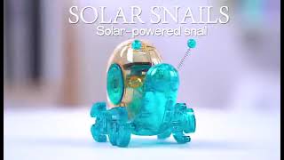 Pure Toy - DIY Solar Snails