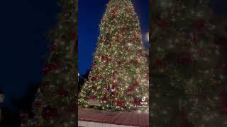 The Knotts Berry Farm Christmas Tree 🤩