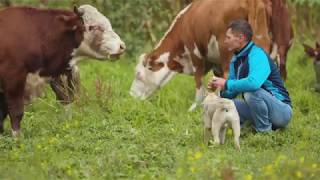 Сахалинский ковбой. Непростые люди.