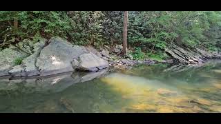 Virginia swimming hole