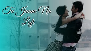 Tu Jaane Na Lofi | Atif Aslam | Ajab Prem Ki Ghajab Kahani | Tushulofi 🎧