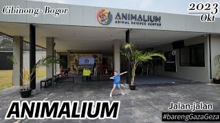 ANIMALIUM BRIN | EDUKASI WISATA KELUARGA DI BOGOR DENGAN SATWA YANG LENGKAP