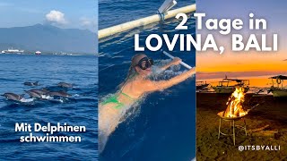 Lovina, Bali Vlog 10 // Tierquälerei?! & mit Delphinen schwimmen