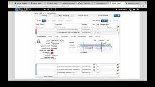 How to Find and Remediate a Critical Pivotal Spring Vulnerability with Nexus Lifecycle