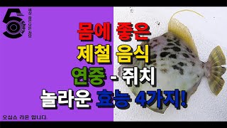 몸에 좋은 제철 음식 연중 - 쥐치 놀라운 효능 4가지!