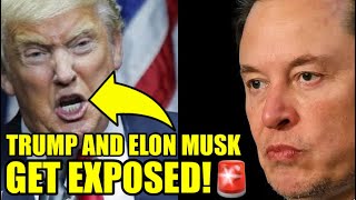 The Washington Post Just DROPPED A BOMBSHELL On Musk & Trump