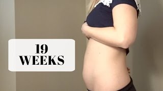 19 WEEK BUMP DATE | CAFFEINE, EXERCISE & MORE!