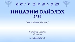 НИЦАВИМ ВАЙЭЛЭХ 5784. "Как избрать Жизнь..." (Александр Огиенко 28.09.2024)