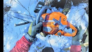 🌲 🌳 Forst technik/Waldarbeit 🌲 🌳Durchforsten mit Husqvarna 560xp in POV