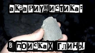 #Аквариумистика: В поисках глины