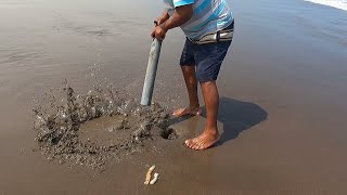 Así se Saca la CARNADA más EFECTIVA  del mar para pescar todos los peces