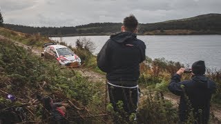 WRC Wales Day 2