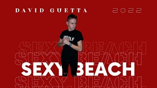 David Guetta - Sexy B*tch ( WOLF Bootleg 2k22 )