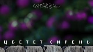 Иван Кучин - Цветет Сирень