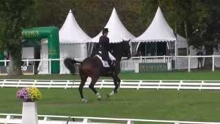 Carpe Diem - Le Lion 7yo World Championships