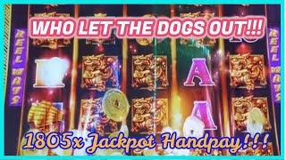 😲OUR BIGGEST PHO DOG HIT!!!! Massive 1850x Jackpot Handpay on Dancing Drums Explosion