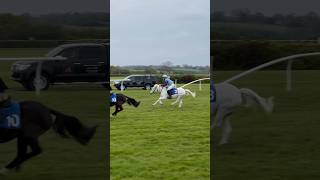 Dorothy and Mouse’s first pony race! Watch the vlog now 🏇🏻 (link above)