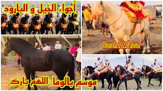 النسخة السادسة لمهرجان التبوريدة بالوما🎠خيول مغربية ملكية👍ماشاءالله 6ème Festival Tbourida Paloma