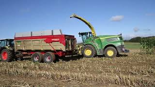 Ensilage de maïs 2023  avec une John Deere 8700i  🌾 🌾 🌽 🌽