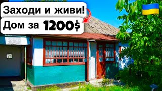 🇺🇦 Заходи и живи! Дом в селе за 1200$ Продажа недвижимости за копейки! Всё есть Уютное тихое село!