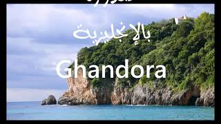 معنى أسم #غندورة Ghandora