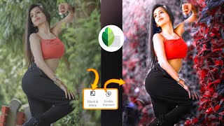 Snapseed Background Color Change Photo Editing |  Best Color Effect Photo Editing