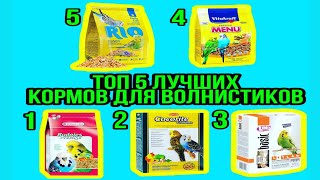 ТОП 5 ЛУЧШИХ КОРМОВ ДЛЯ ВОЛНИСТИКОВ🍿|Гоша Гороша🦜