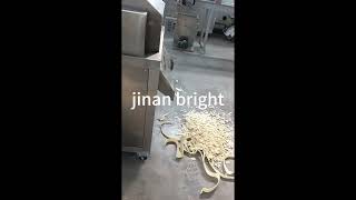 fried chips extruder testing