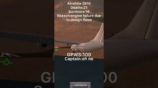 Airwhite 2810 crash animation (turboprop flight simulator)