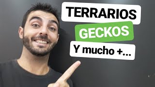 Terrarios, Geckos y Reptiles