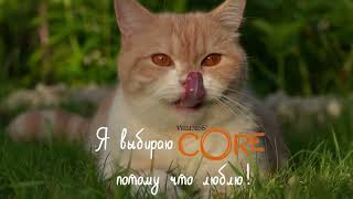 Паучи CORE для кошек