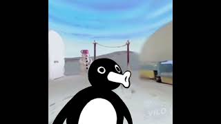 pingus reaction to that information: