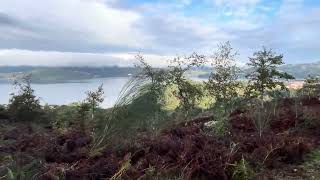 Day 11 Portuguese Way beautiful scenery on way to Pontevedra