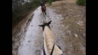 Rock Springs Run Horseback Trail Ride